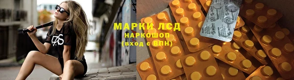 гашик Покровск