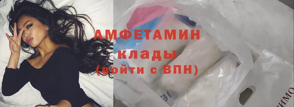 гашик Покровск