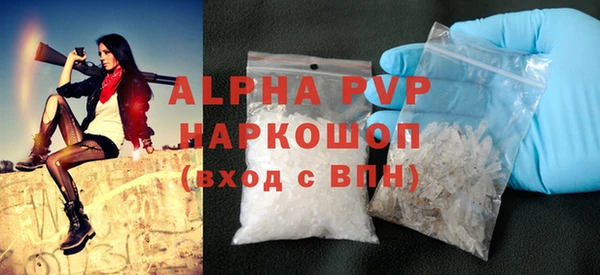 ECSTASY Покачи