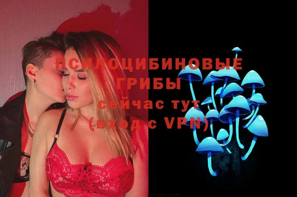 эйфоретик Пролетарск