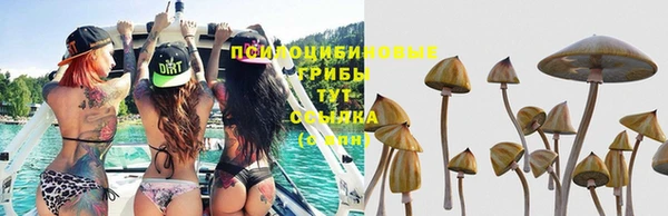 гашик Покровск